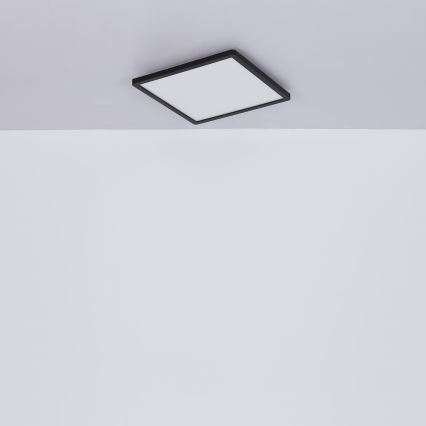 Globo - LED Димируем плафон за баня LED/24W/230V 42x42 cm IP44 черен