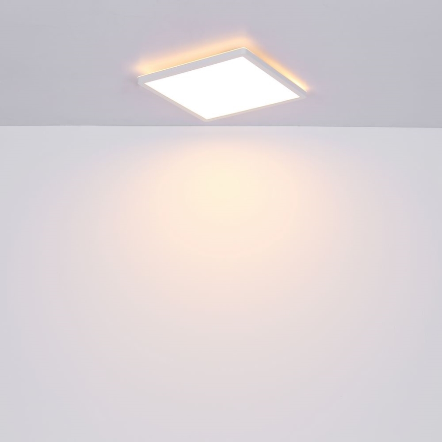 Globo - LED Димируем плафон за баня LED/24W/230V 42x42 cm IP44 бял