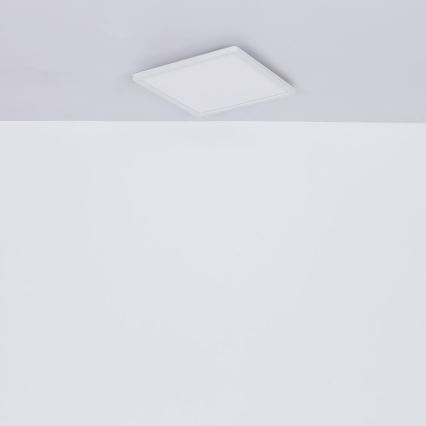 Globo - LED Димируем плафон за баня LED/24W/230V 42x42 cm IP44 бял