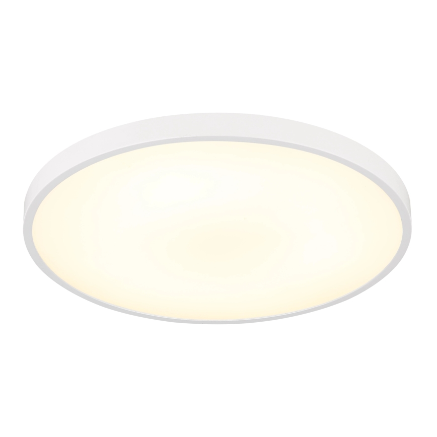 Globo - LED таванно осветително тяло LED/15W/230V 4000K Ø 23 cm бяло