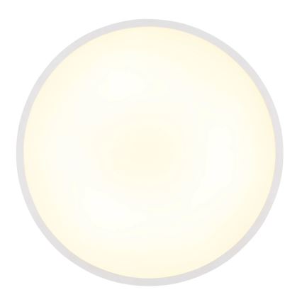 Globo - LED таванно осветително тяло LED/15W/230V 4000K Ø 23 cm бяло