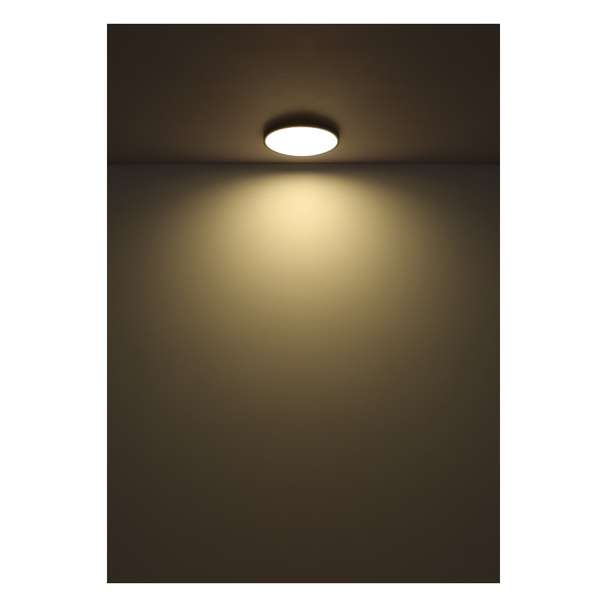 Globo - LED Плафониера LED/32W/230V 4000K Ø 40 см черен