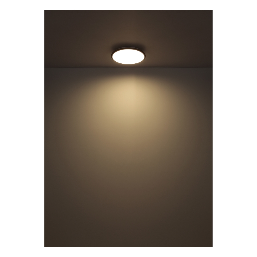 Globo - LED Плафониера LED/18W/230V 4000K Ø 35 см черен