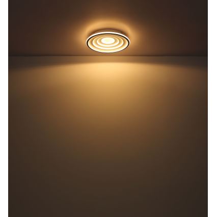 Globo - LED Плафониера LED/24W/230V