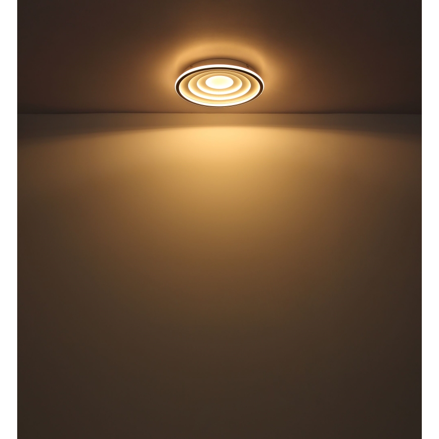 Globo - LED Плафониера LED/24W/230V