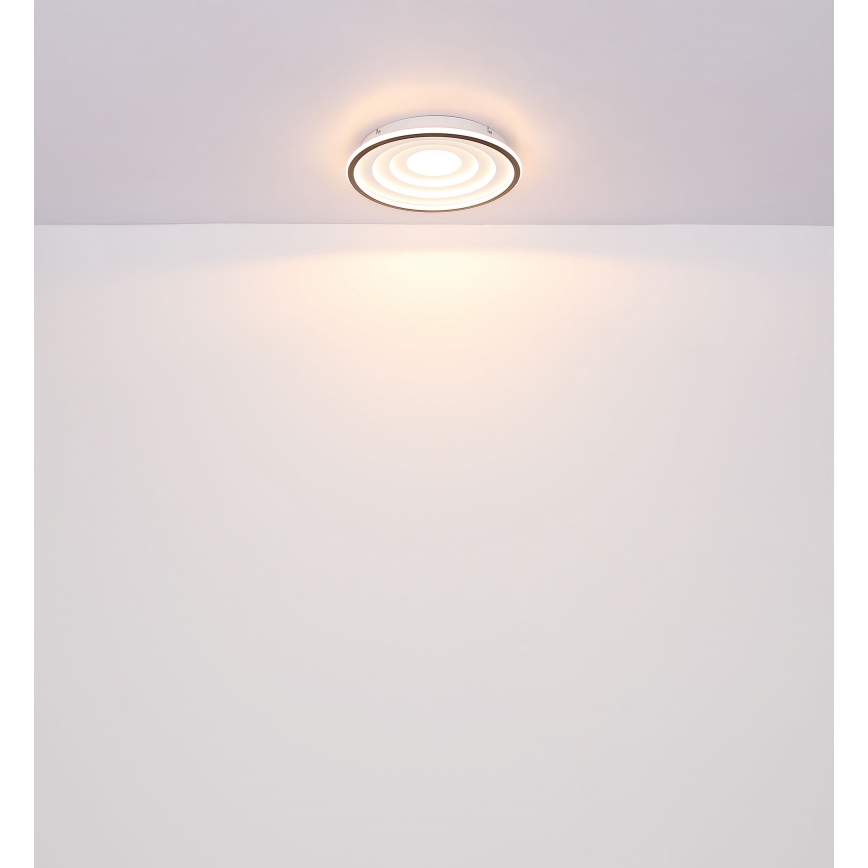 Globo - LED Плафониера LED/24W/230V