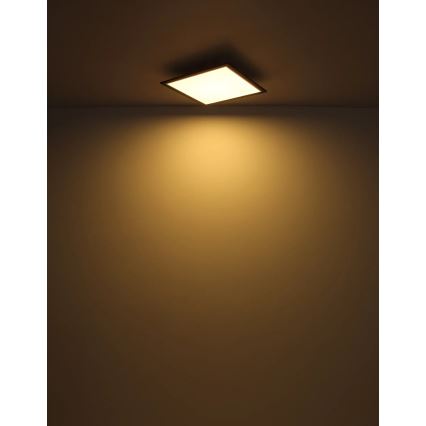 Globo - LED Плафониера LED/24W/230V