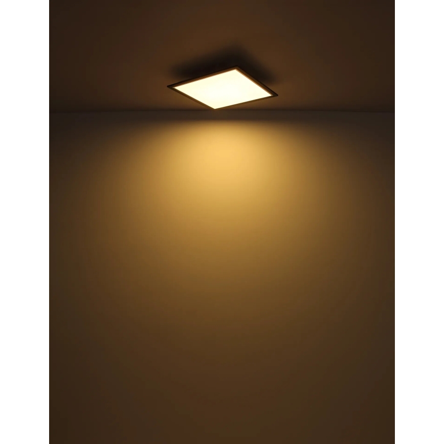 Globo - LED Плафониера LED/24W/230V