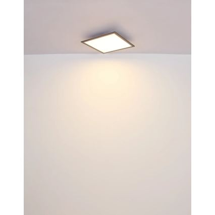 Globo - LED Плафониера LED/24W/230V