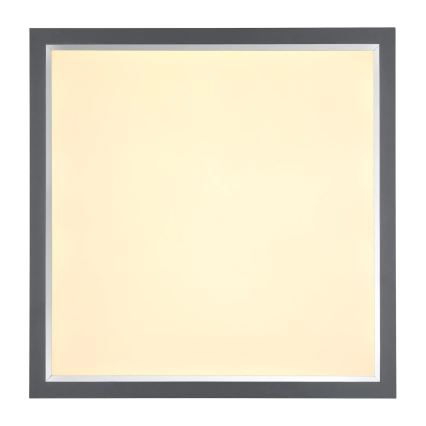 Globo - LED Плафониера LED/24W/230V