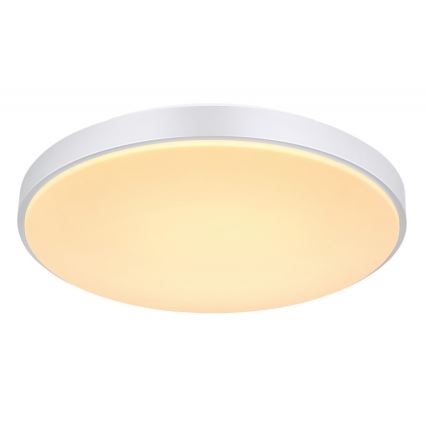 Globo - LED Димируем плафон LED/24W/230V + дистанционно управление