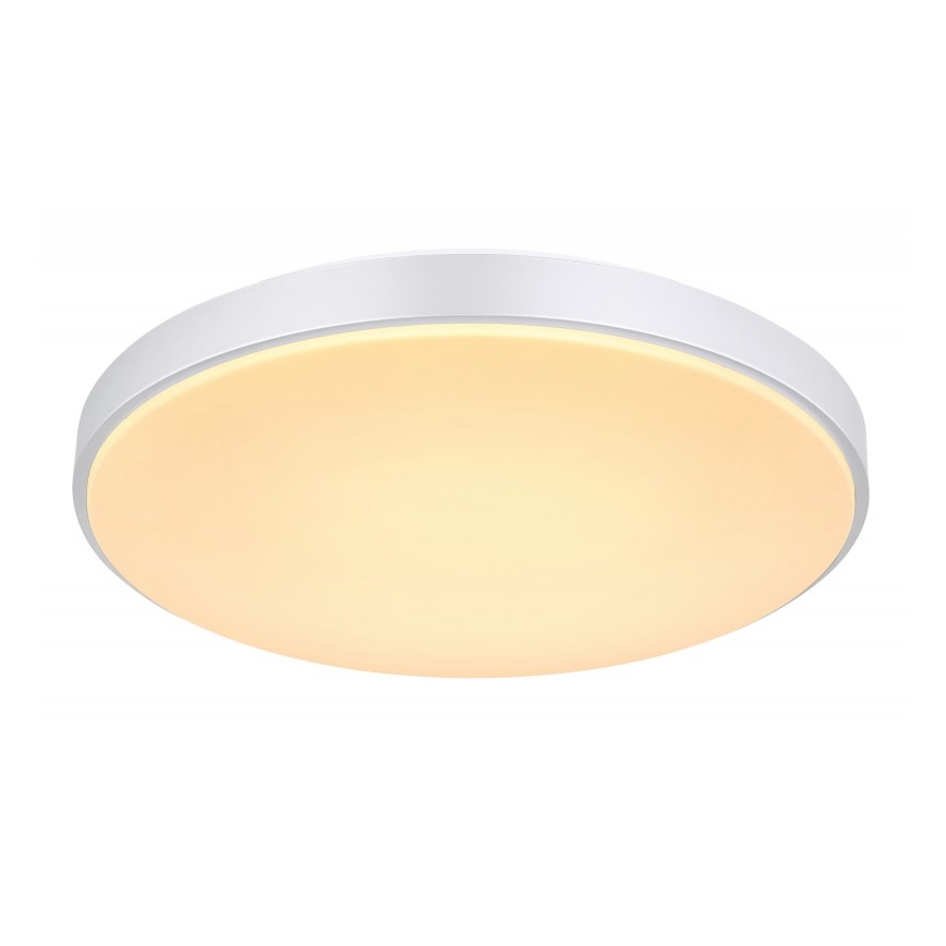 Globo - LED Димируем плафон LED/24W/230V + дистанционно управление
