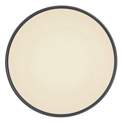 Globo - LED Димируем плафон LED/24W/230V + дистанционно управление