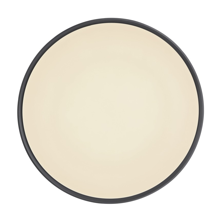 Globo - LED Димируем плафон LED/24W/230V + дистанционно управление