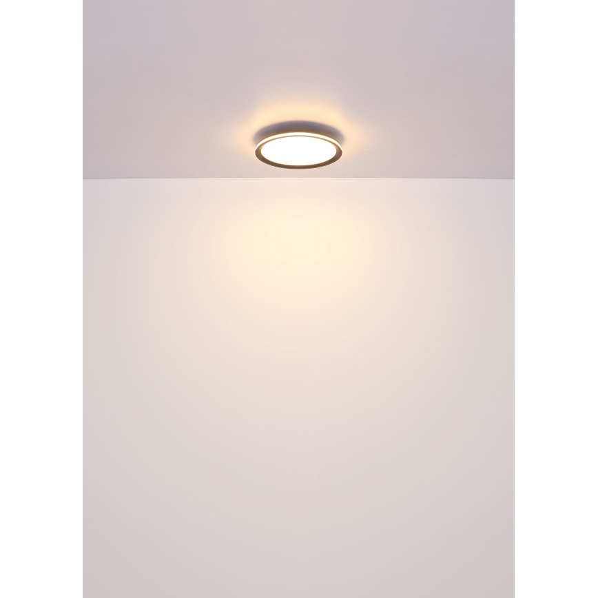 Globo - LED Плафониера LED/39W/230V Ø 40 см
