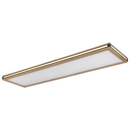 Globo - LED Димируем плафон LED/36W/230V 3000K 30x120 см