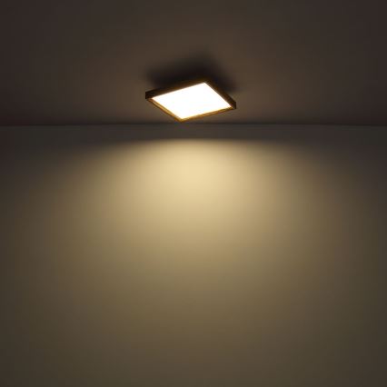 Globo - LED Плафониера LED/12W/230V 2700/4500/6500K 30x30 см