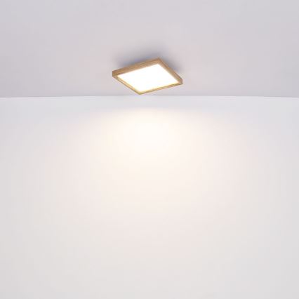 Globo - LED Плафониера LED/12W/230V 2700/4500/6500K 30x30 см
