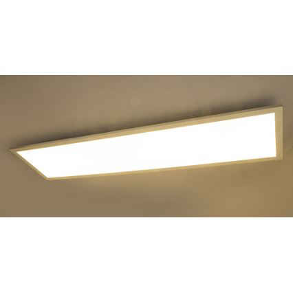 Globo - LED Панел за повърхностен монтаж LED/40W/230V