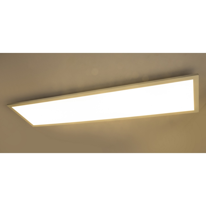 Globo - LED Панел за повърхностен монтаж LED/40W/230V