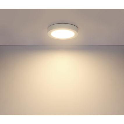 Globo - LED За баня Лампа за таван 1xLED/18W/230V IP44