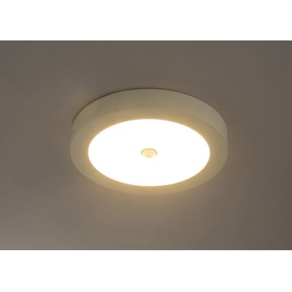 Globo - външен LED плафон с датчик LED/18W/230V IP44