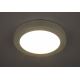Globo - LED За баня Лампа за таван 1xLED/22W/230V IP44
