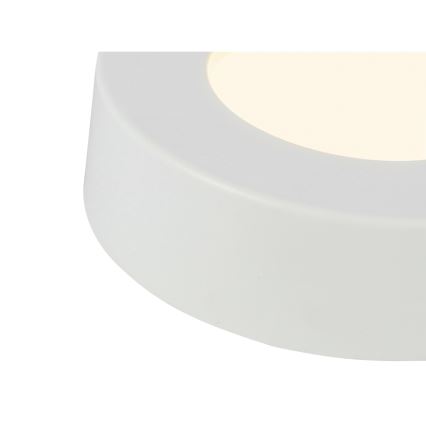 GLOBO - LED Плафониера LED/6W/230V