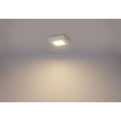 Globo - LED Плафониера SVENJA 1xLED/9W/230V 3000/4000/6000K
