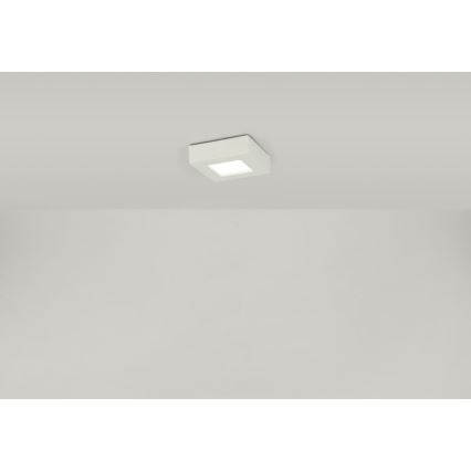 Globo - LED Плафониера SVENJA 1xLED/9W/230V 3000/4000/6000K