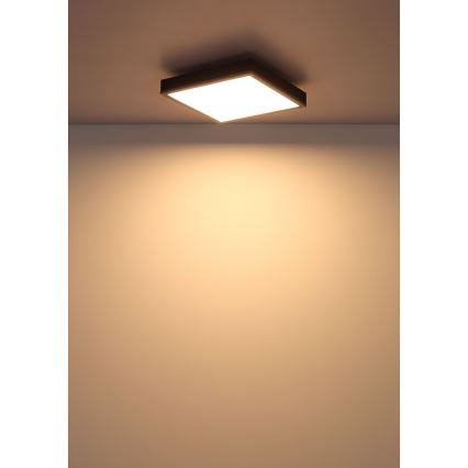 Globo - LED Плафониера LED/12W/230V 3000K 30x30 см