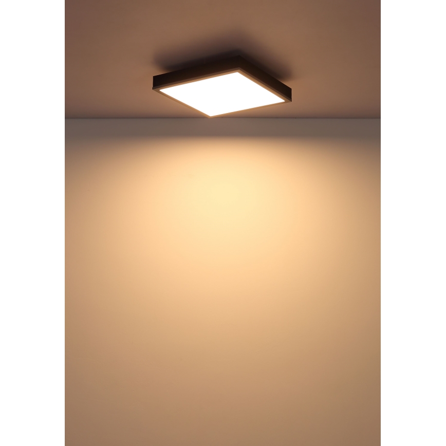 Globo - LED Плафониера LED/12W/230V 3000K 30x30 см