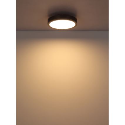 Globo - LED Плафониера LED/12W/230V 3000K Ø 30 см