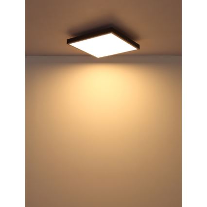 Globo - LED Плафониера LED/24W/230V 3000K 45x45 см