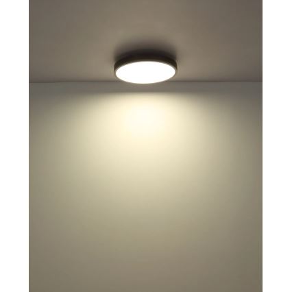Globo - Димируемо LED таванно осветително тяло LED/24W/230V 2700-6500K, диаметър 45 см + дистанционно управление
