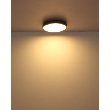 Globo - LED Плафониера LED/24W/230V 3000K Ø 45 см