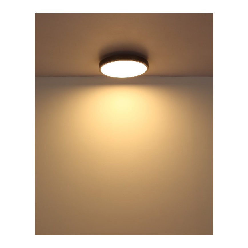 Globo - LED Плафониера LED/24W/230V 3000K Ø 45 см