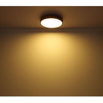 Globo - LED Плафон LED/12W/230V Ø 30 см
