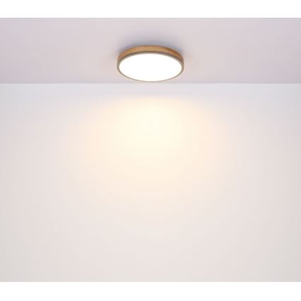 Globo - LED Плафон LED/12W/230V Ø 30 см