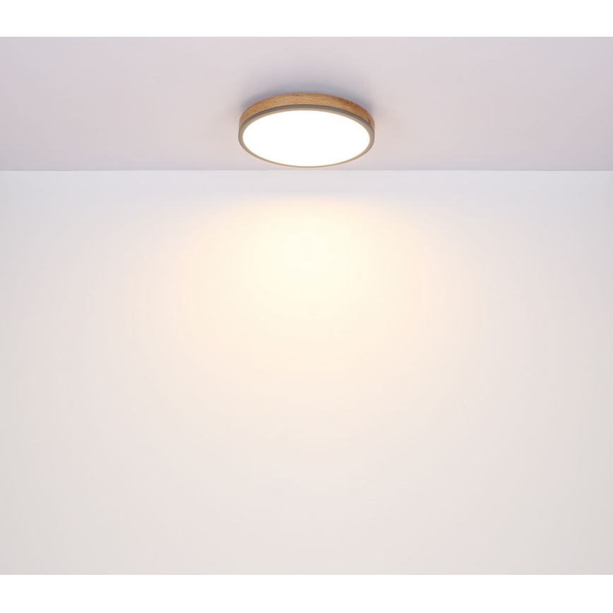 Globo - LED Плафон LED/12W/230V Ø 30 см
