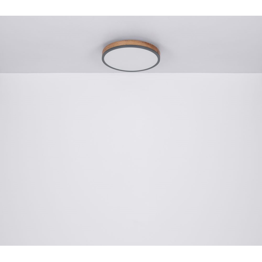 Globo - LED Плафон LED/12W/230V Ø 30 см