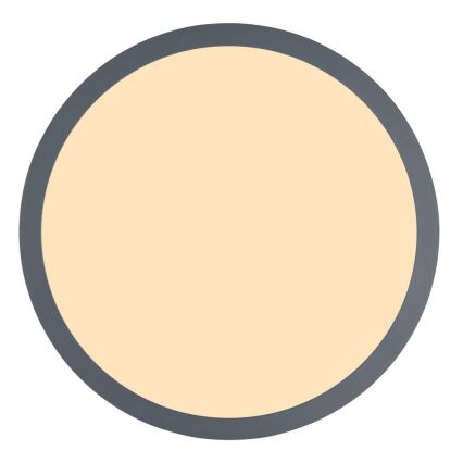Globo - LED Плафон LED/12W/230V Ø 30 см