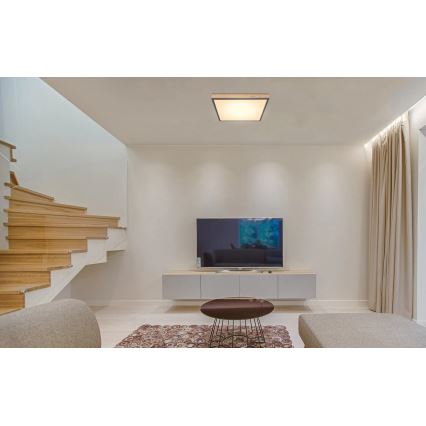 Globo - Димируемо LED таванно осветително тяло LED/24W/230V 3000-6500K 45x45 cm