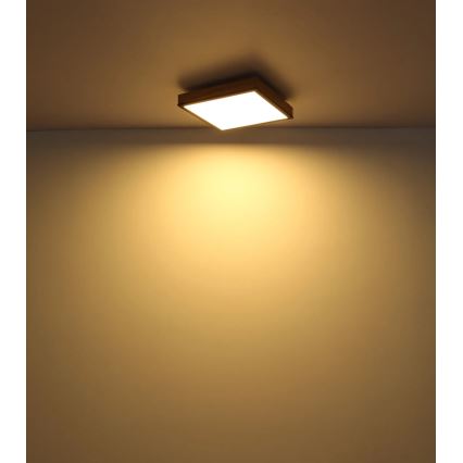 Globo - Димируемо LED таванно осветително тяло LED/24W/230V 3000-6500K 45x45 cm