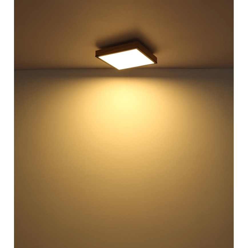 Globo - Димируемо LED таванно осветително тяло LED/24W/230V 3000-6500K 45x45 cm