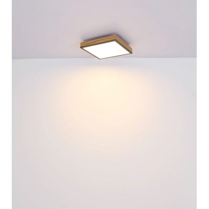 Globo - Димируемо LED таванно осветително тяло LED/24W/230V 3000-6500K 45x45 cm