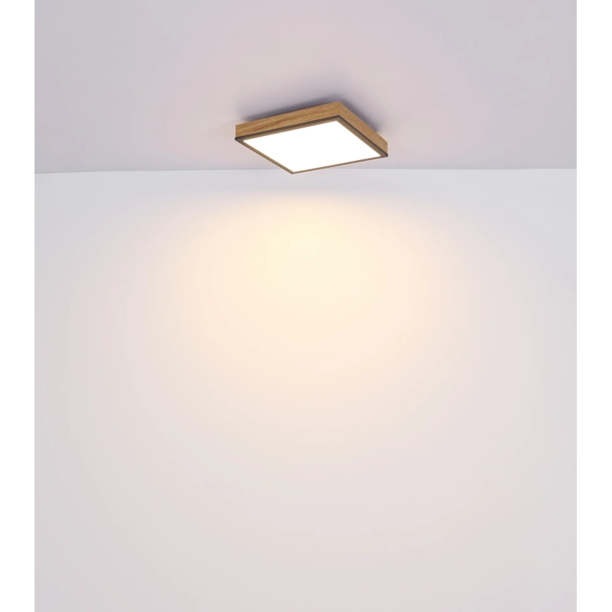 Globo - Димируемо LED таванно осветително тяло LED/24W/230V 3000-6500K 45x45 cm