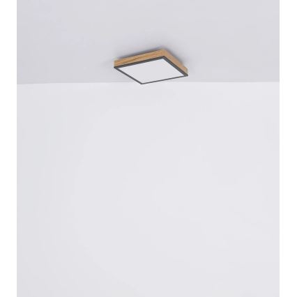 Globo - Димируемо LED таванно осветително тяло LED/24W/230V 3000-6500K 45x45 cm