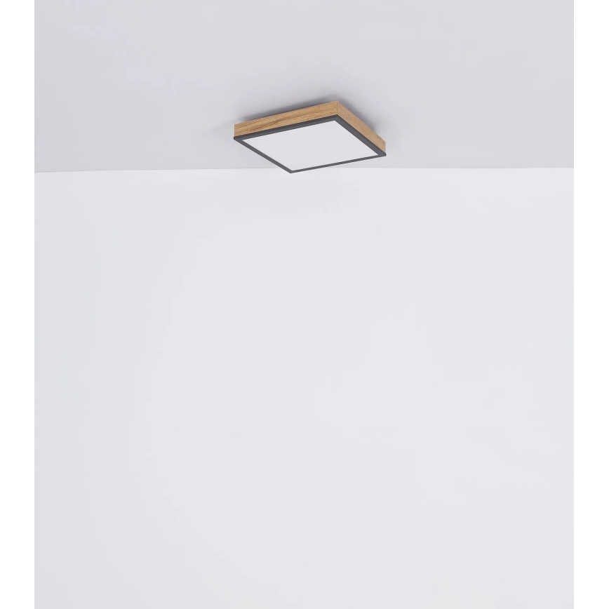 Globo - Димируемо LED таванно осветително тяло LED/24W/230V 3000-6500K 45x45 cm