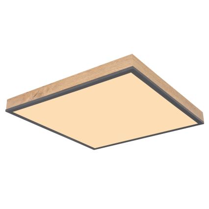 Globo - Димируемо LED таванно осветително тяло LED/24W/230V 3000-6500K 45x45 cm